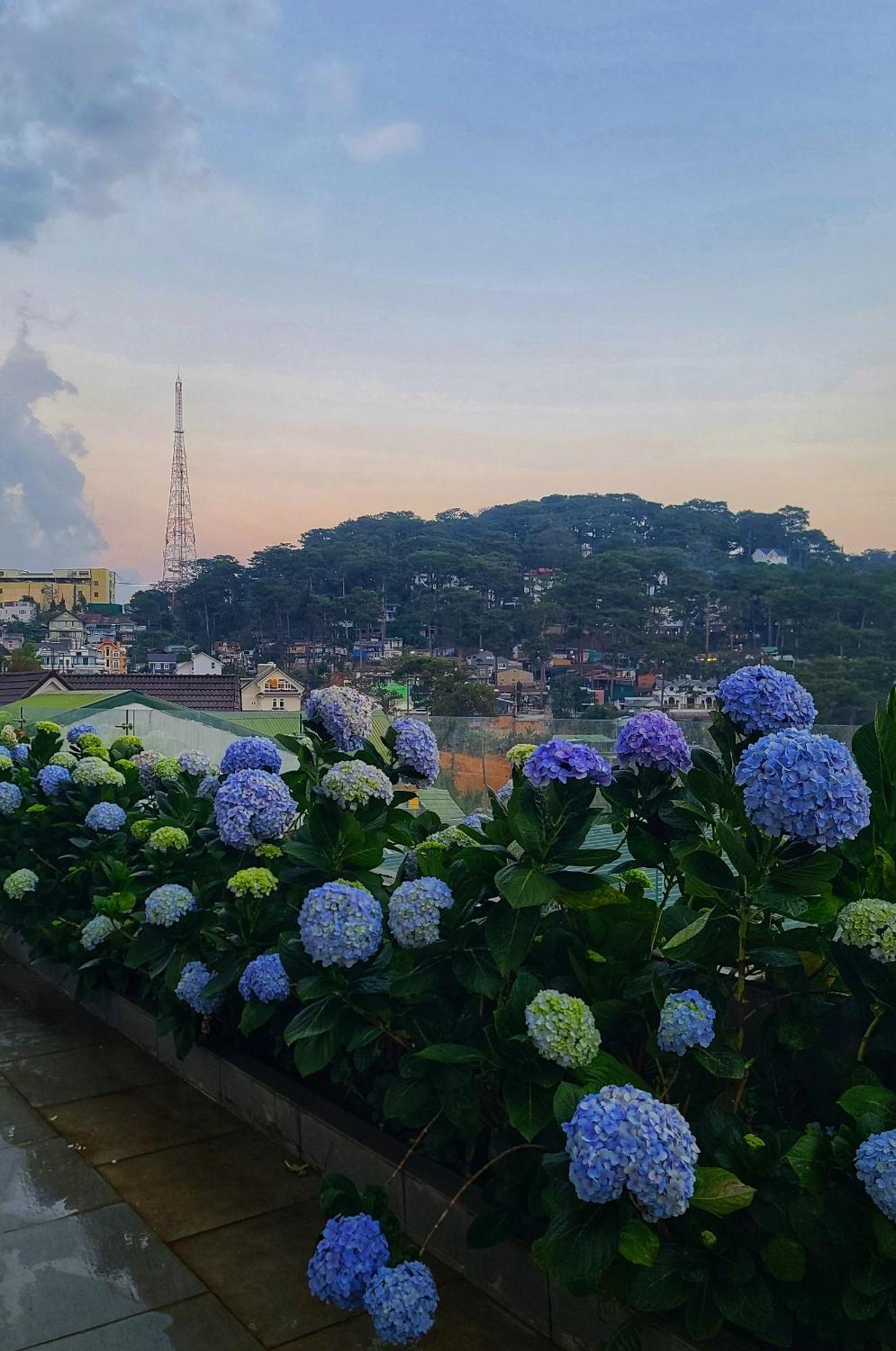 Hotel The Luxe Da Lat Zewnętrze zdjęcie